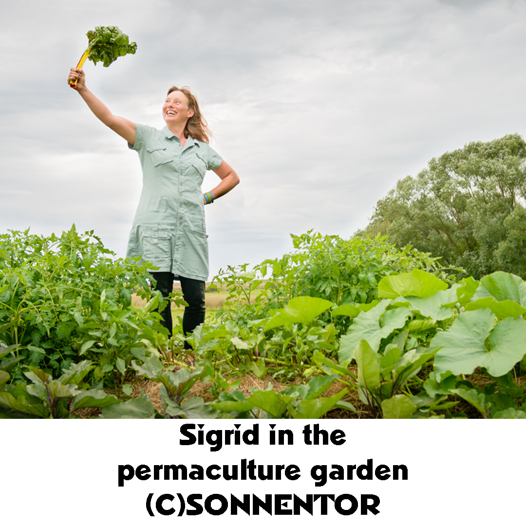 Sigrid in the permaculture garden.